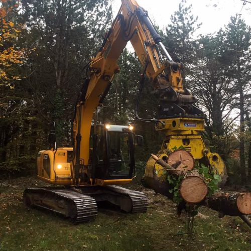 Chargement des troncs à la pince de tri